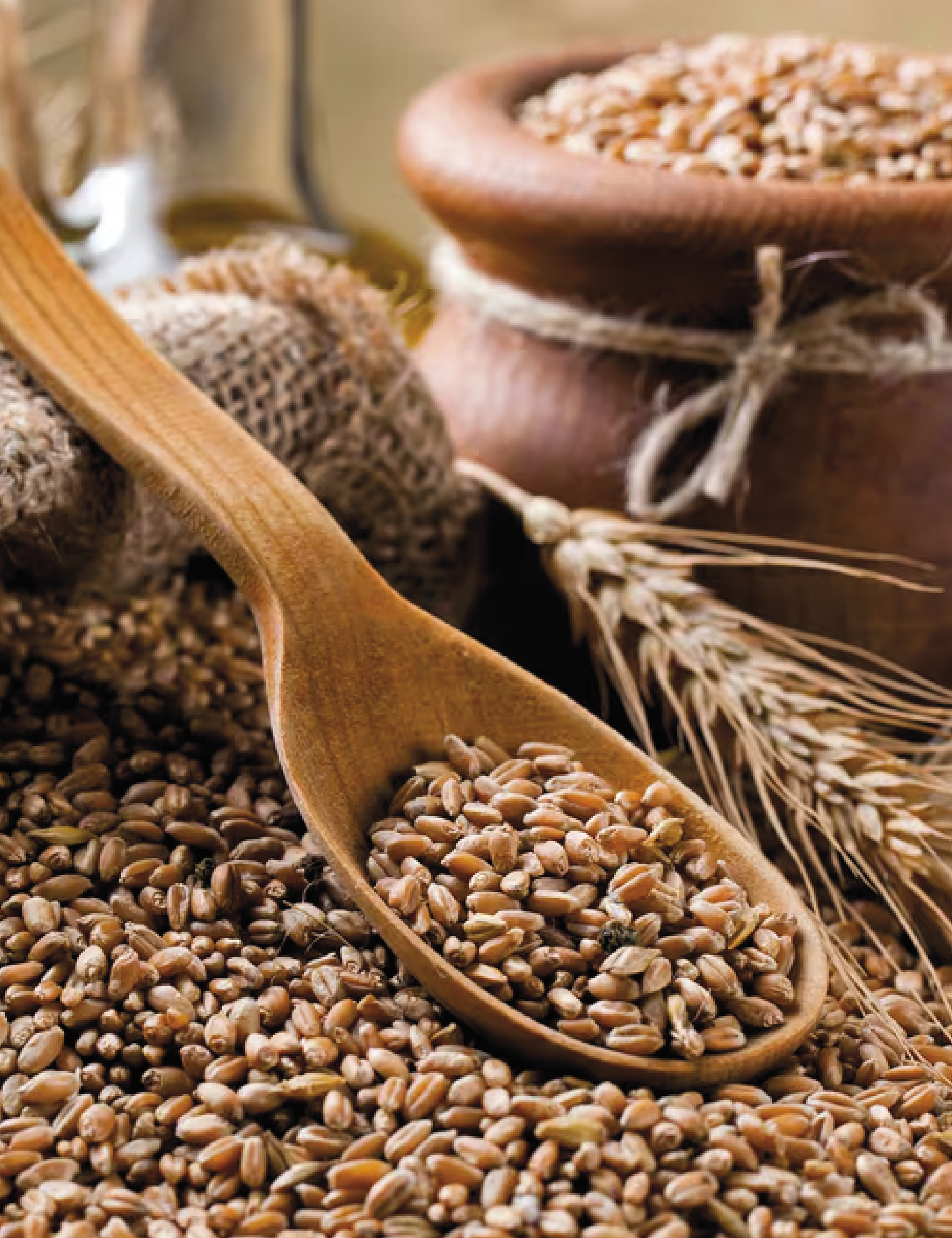 FARRO